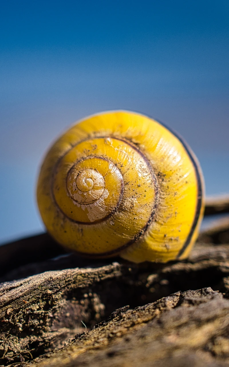 AI đang viết lại SEO B2B: Sổ tay chiến lược mới cho khả năng hiển thị trên công cụ tìm kiếm