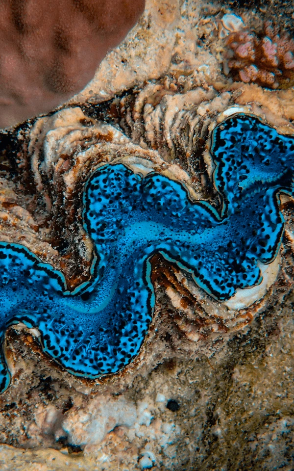 Hướng dẫn sử dụng AI trong tiếp thị qua email