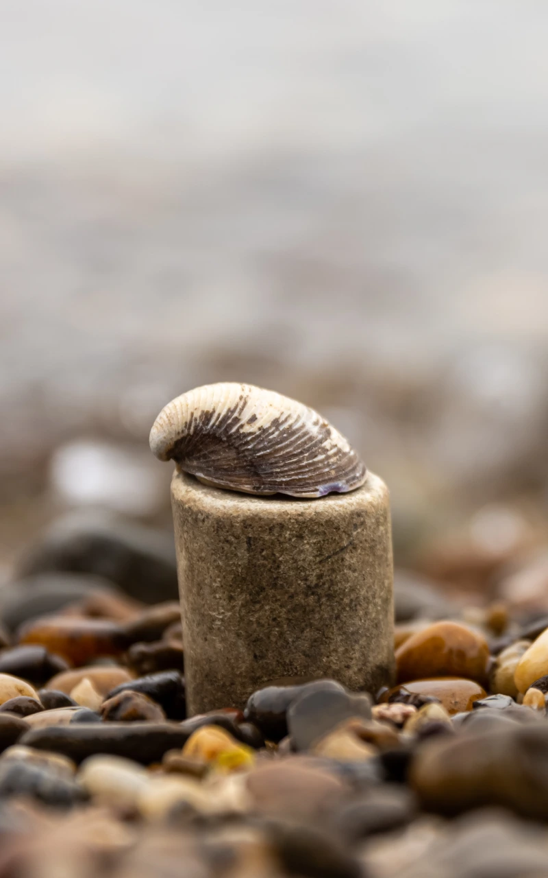 Tối ưu hóa Generative Engine (GEO): Nội dung của bạn được AI chọn