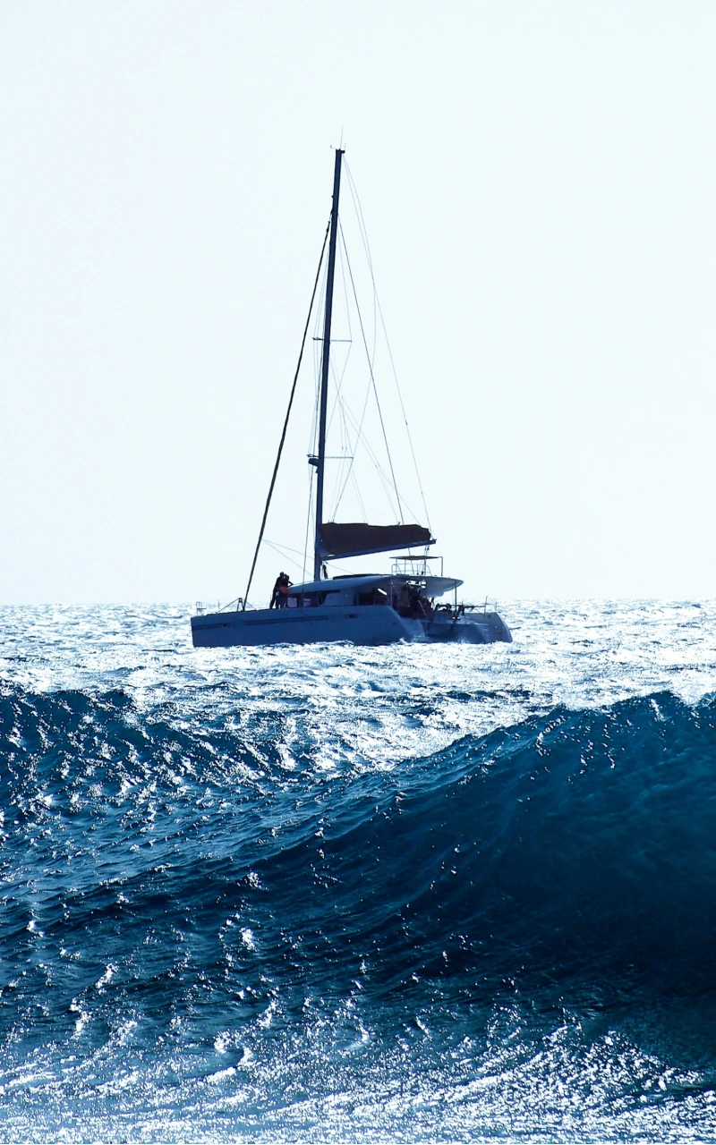 Kỳ nghịch lý AI vĩ đại: Tại sao việc áp dụng rộng rãi lại không mang lại giá trị chiến lược trong tiếp thị B2B