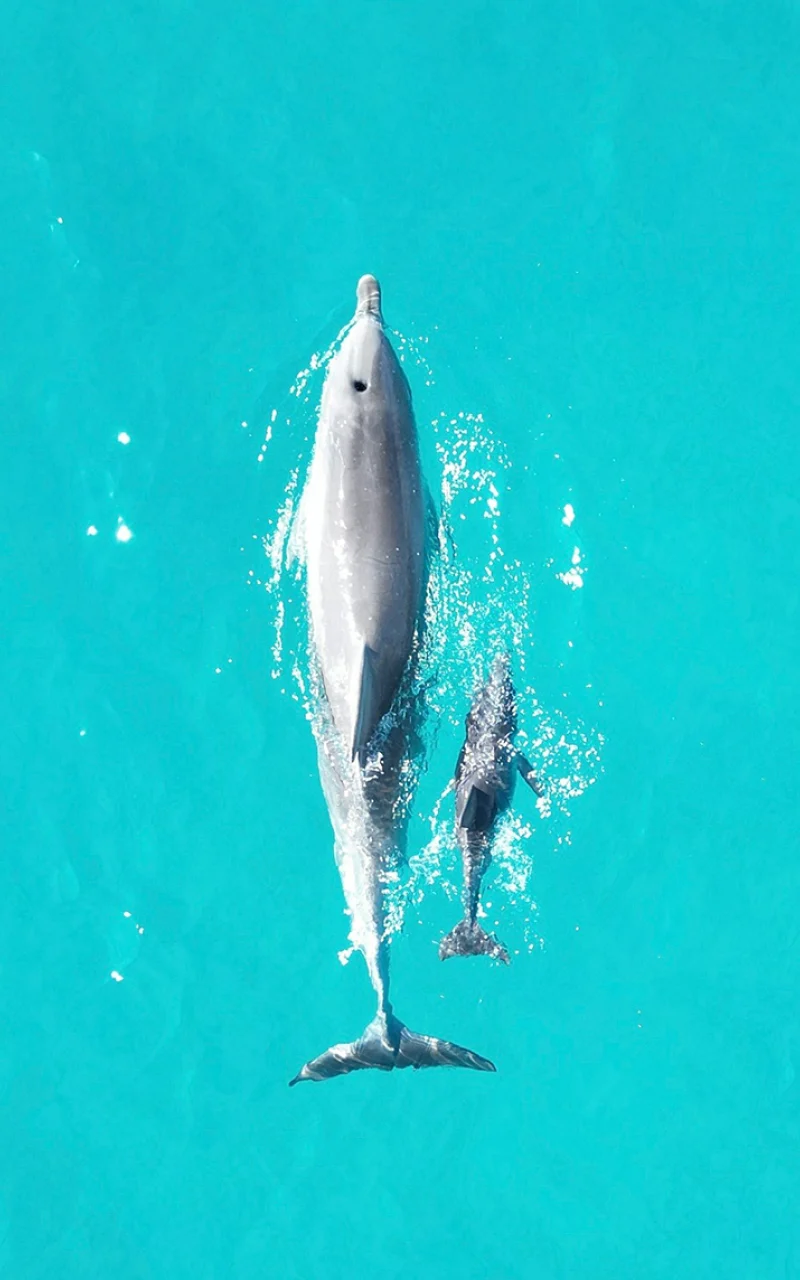 Chiến lược mạng xã hội B2B tự nhiên của bạn nay đã trở thành một chiến lược AI