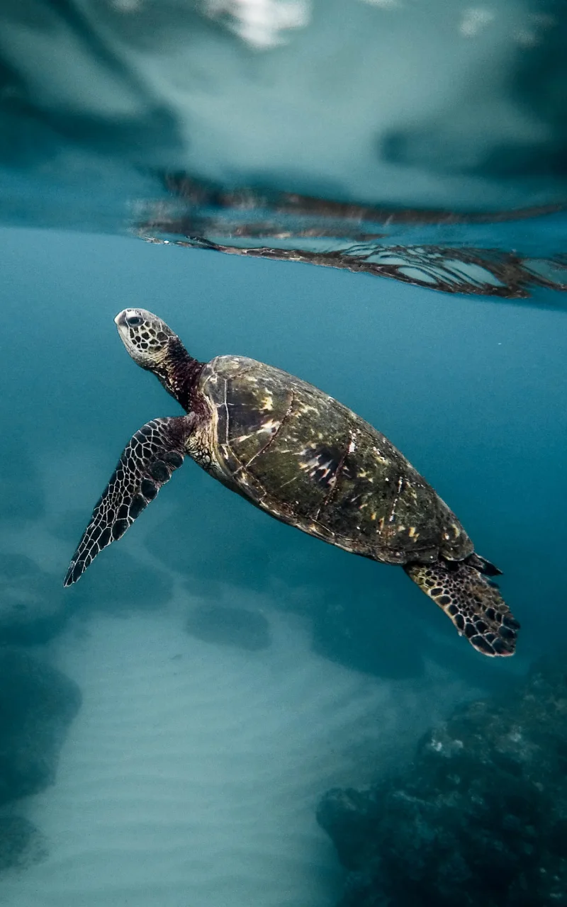 Tiếp thị B2B năm 2026: điều gì thực sự đang thay đổi và điều gì không